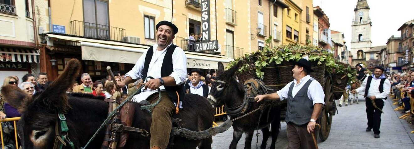 Salida: Fiesta de la vendimia en Toro (Zamora)