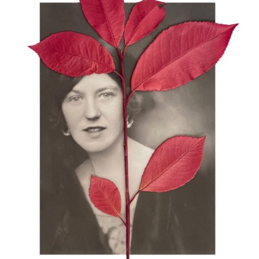Hope Mirrlees