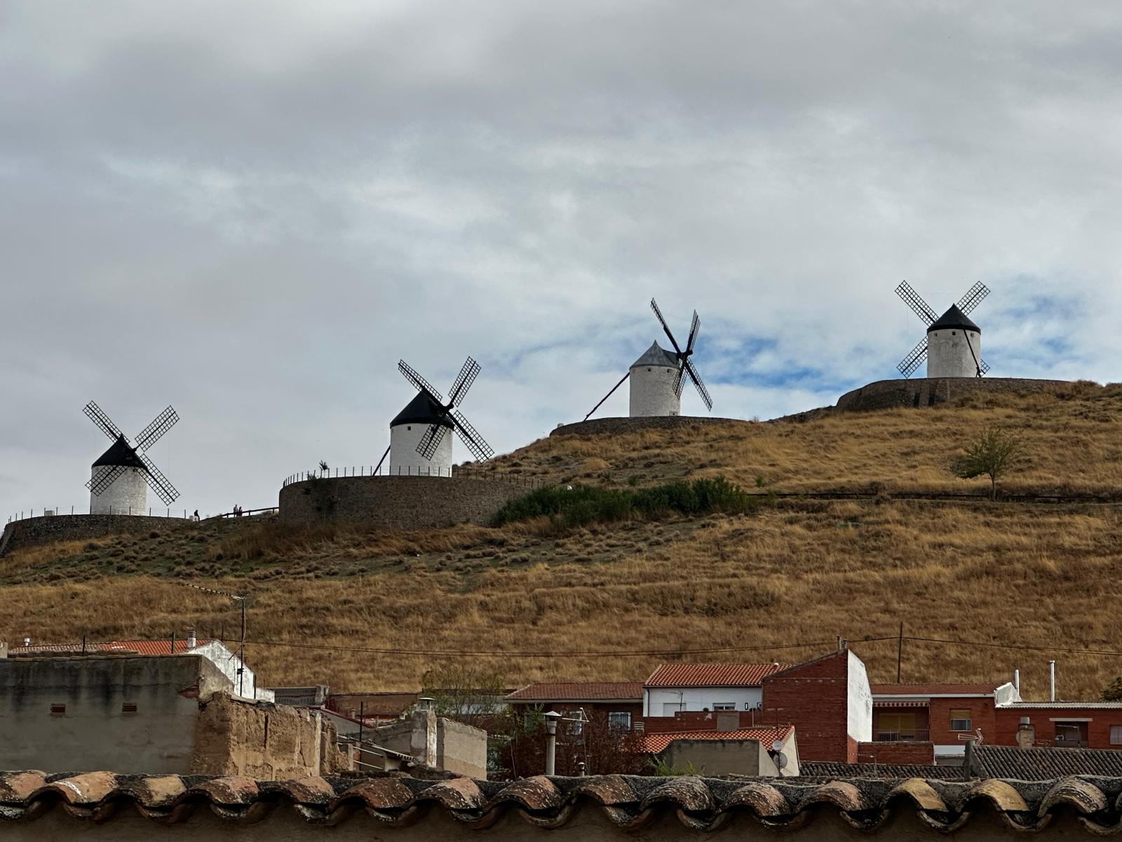 Consuegra y la Flor del Azafrán