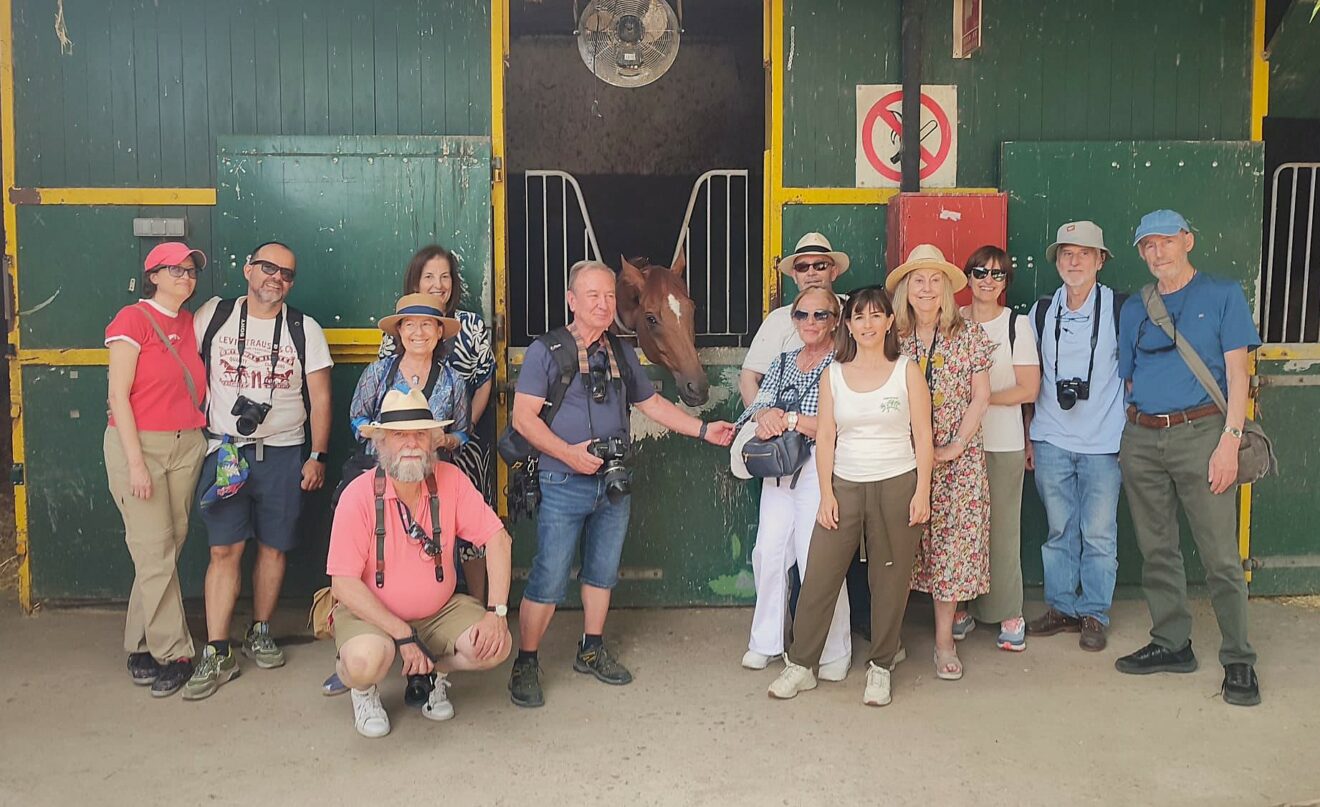 Visitas fotográficas al Hipódromo de la Zarzuela